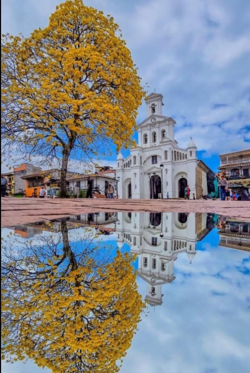 Iglesia principal de Marinilla frente al parque, con árbol de guayacán amarillo reflejado en el agua — a metros de La Vaca en la Torre